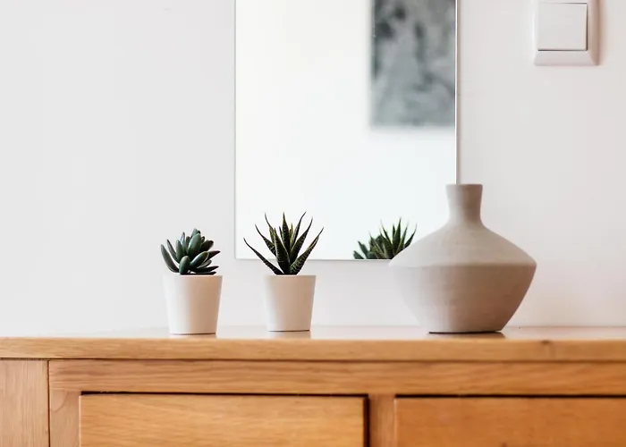 Quinta Das Palmeiras Lagos